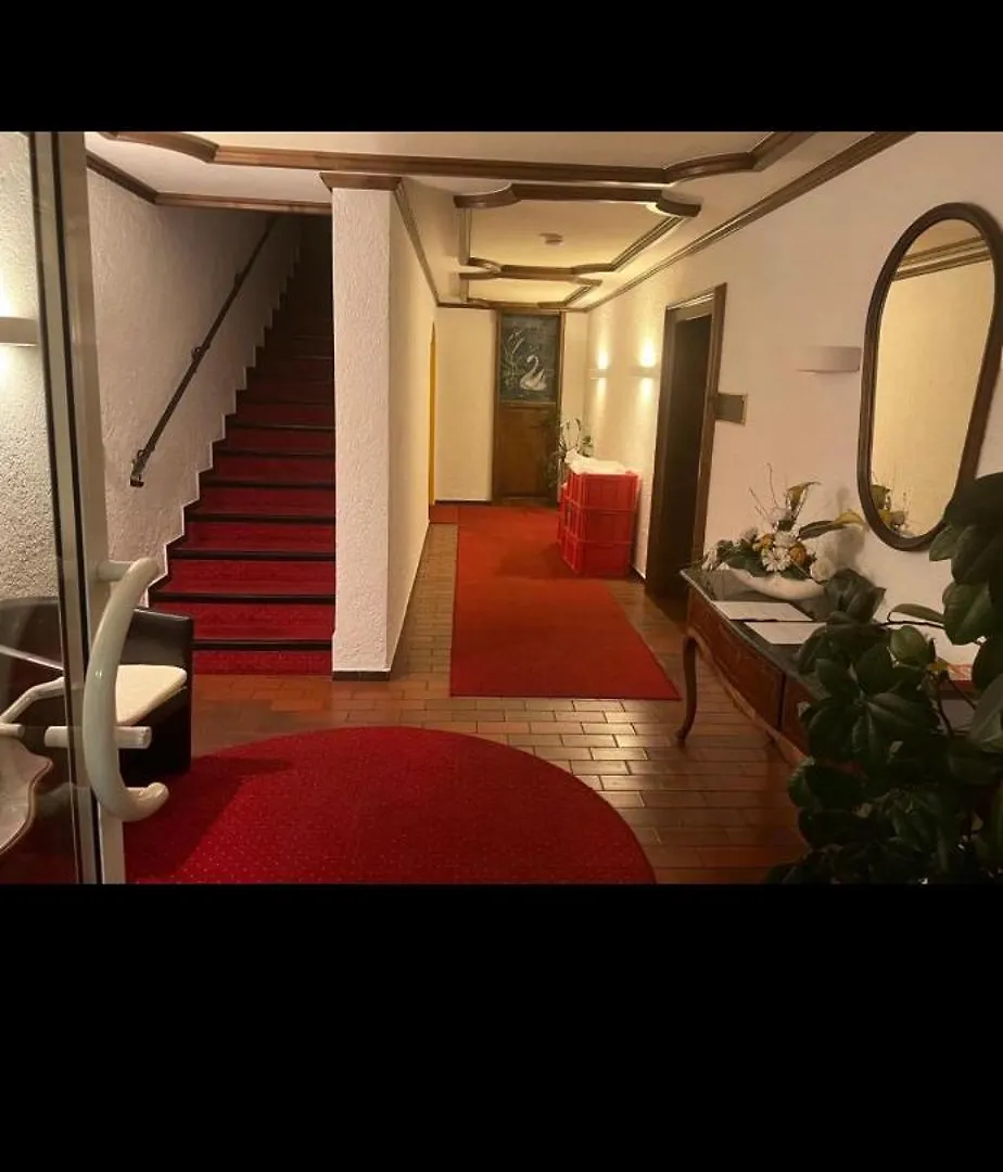 Hotel Schwan Hugelsheim