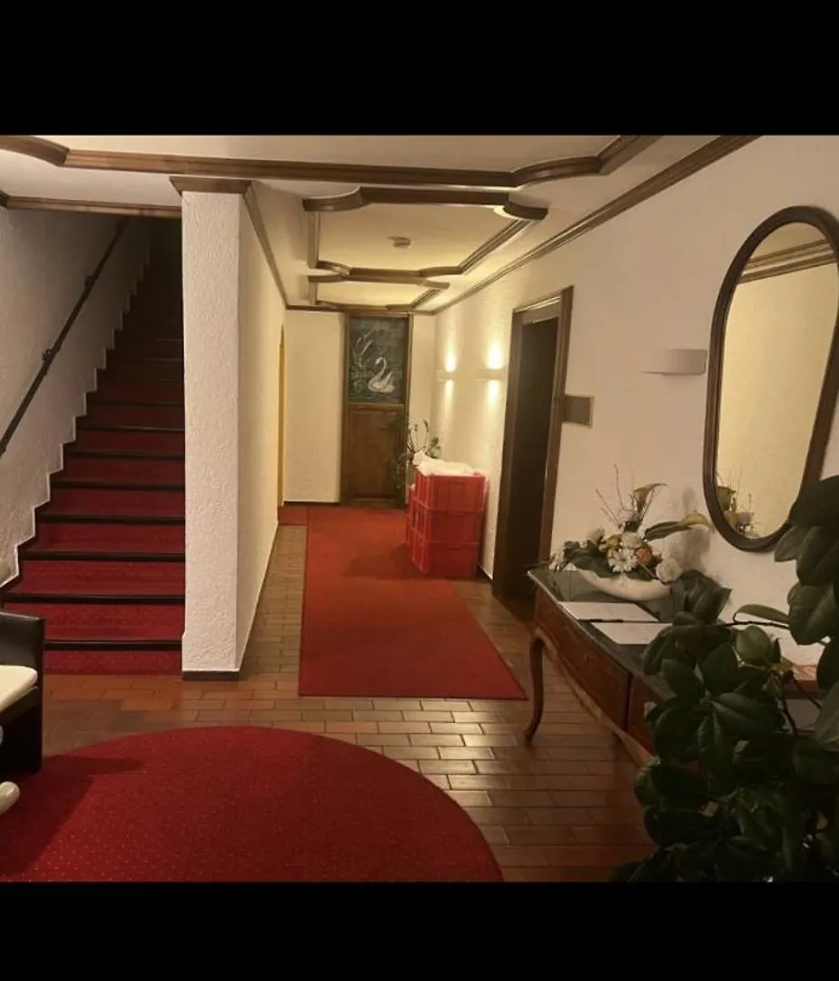 Hotel Schwan Hugelsheim